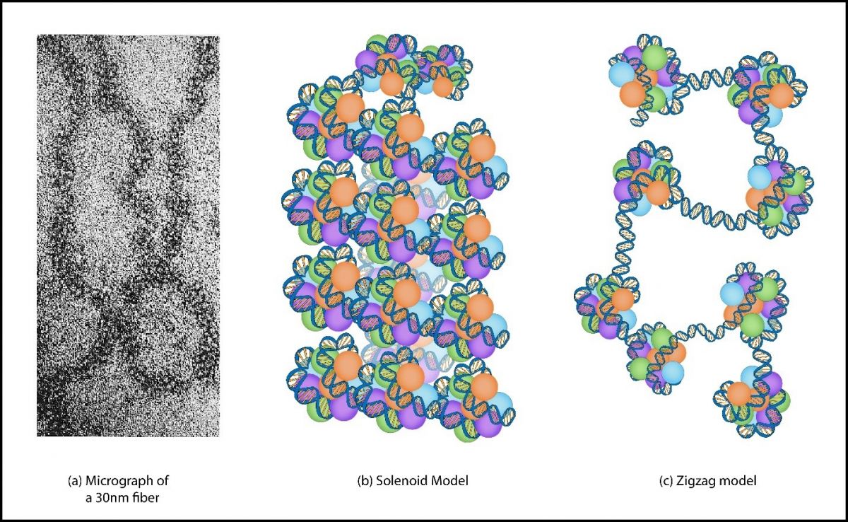 2.13_30-nm_Fiber.jpg