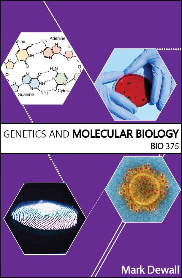 BIO 375: Genetics and Molecular Biology