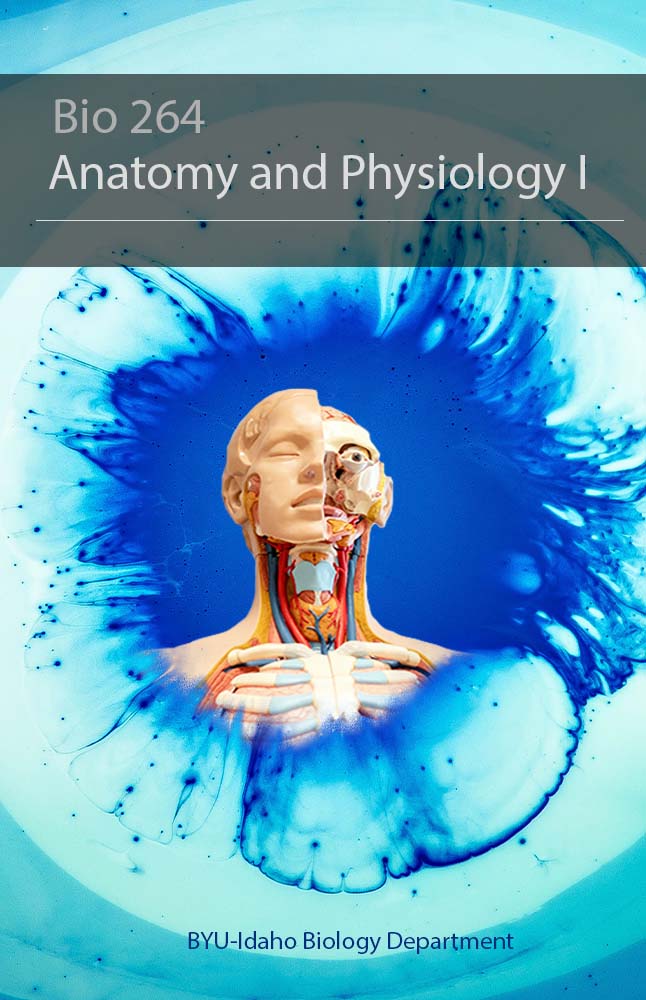 BIO 264 Anatomy & Physiology I