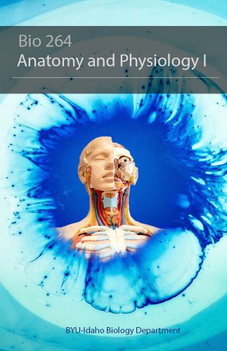 Cover for BIO 264 Anatomy & Physiology I