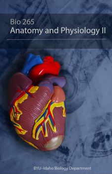 Book cover for BIO 265 Anatomy and Physiology II