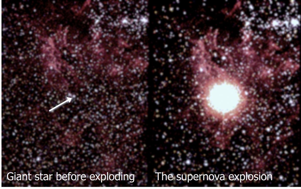 Photo of a star (arrow) just and after it exploded to produce supernova 1987A. (NASA images)