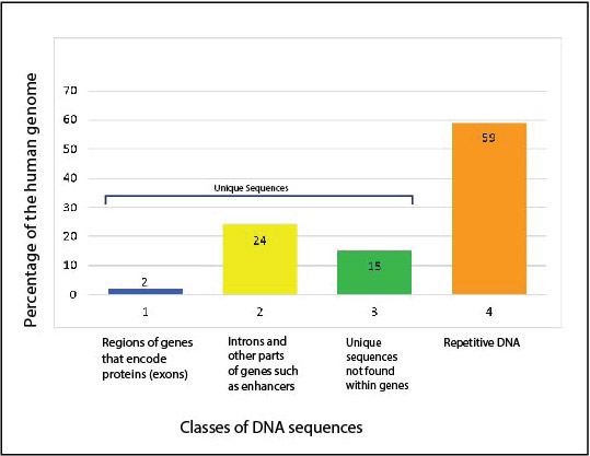 EDI_2.5_Classes_of_DNA_Sequence-01_1.jpg