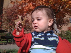 Baby grabbing a leaf