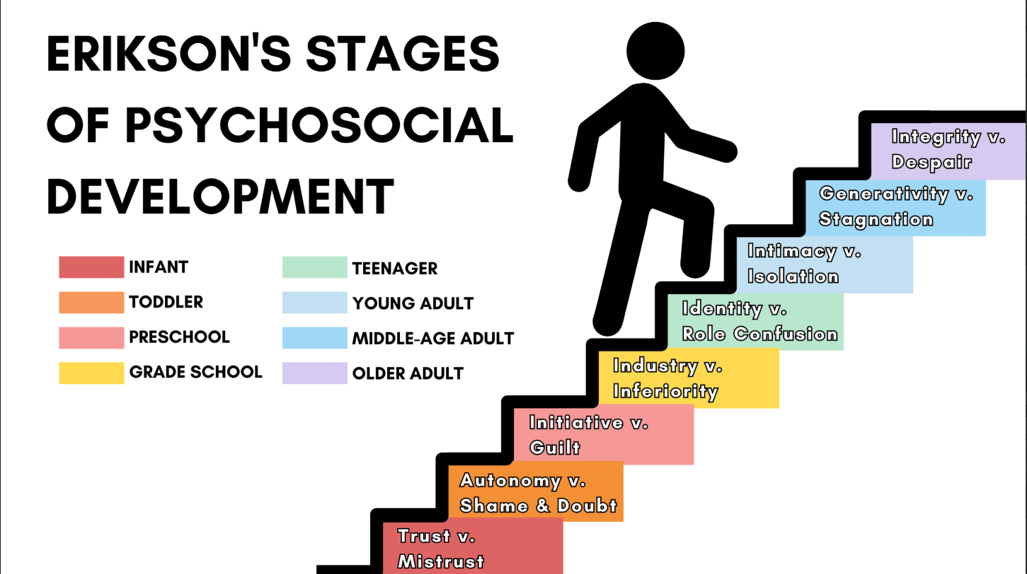 Erik erikson stages of cognitive development best sale